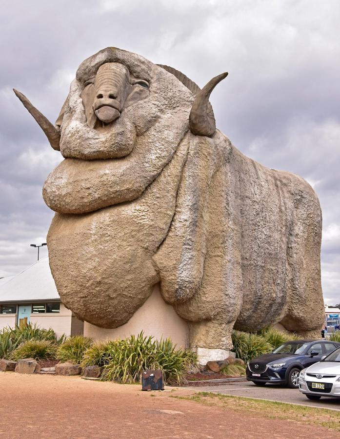 Goulburn Motor Inn Kültér fotó